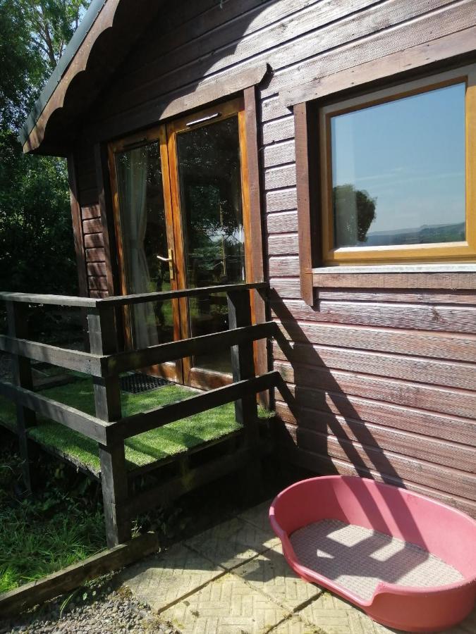 Stay With Your Pet Killarney Zewnętrze zdjęcie